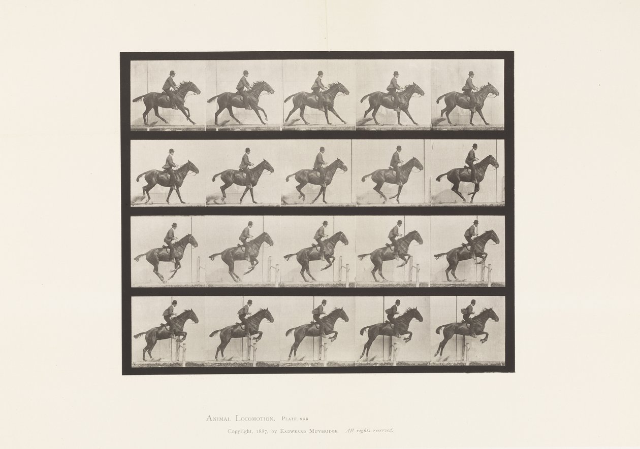 Tabliczka 636. Skakanie przez przeszkodę; Siodło; Przygotowanie do skoku autorstwa Eadweard Muybridge