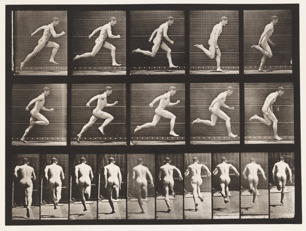 Płyta 63. Bieganie na pełnych obrotach. autorstwa Eadweard Muybridge