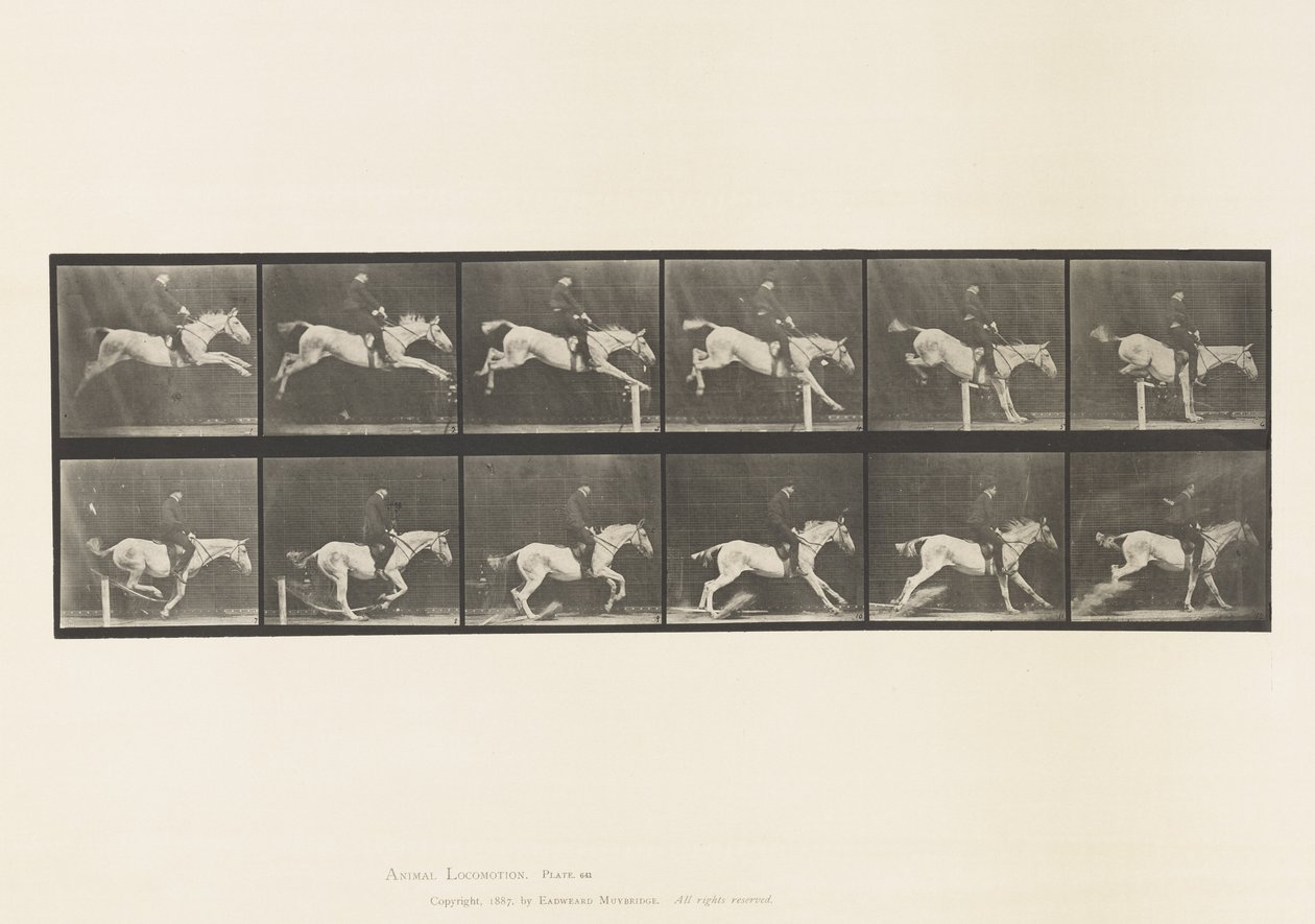 Tabliczka 641. Skakanie przez płotki; Siodło; Przewrócenie przeszkody i autorstwa Eadweard Muybridge