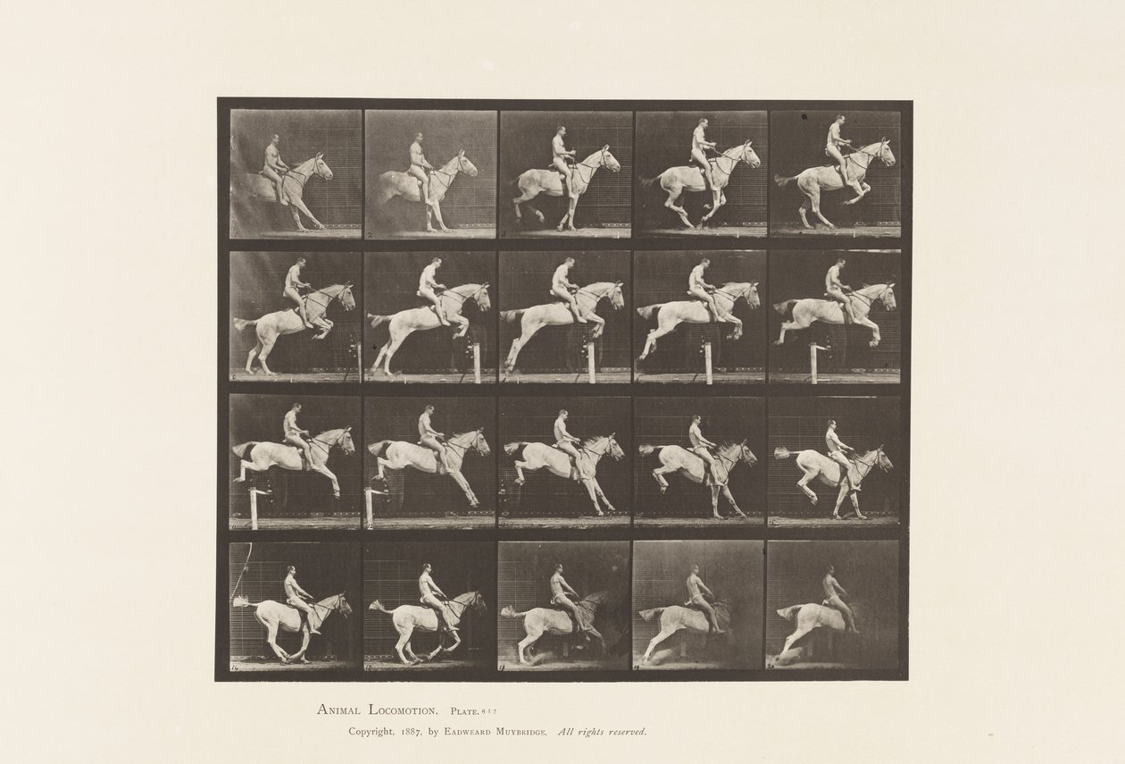 Tabliczka 642. Skakanie przez przeszkodę; Siodło; Jeździec, 105, Akt; Siwa Klacz, 1885 autorstwa Eadweard Muybridge