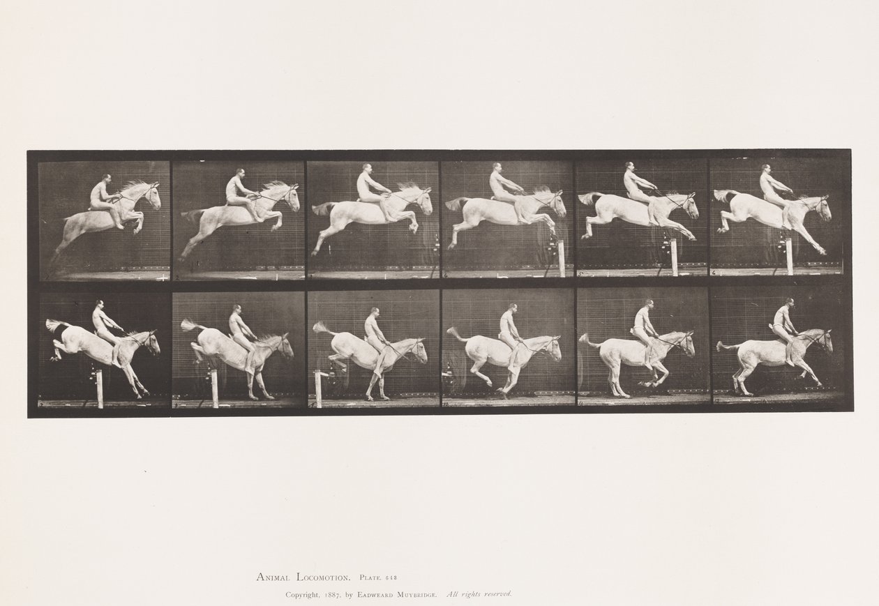 Płyta 643. Przeskakiwanie przez płotki; Oklep; Rozliczenie i lądowanie; autorstwa Eadweard Muybridge