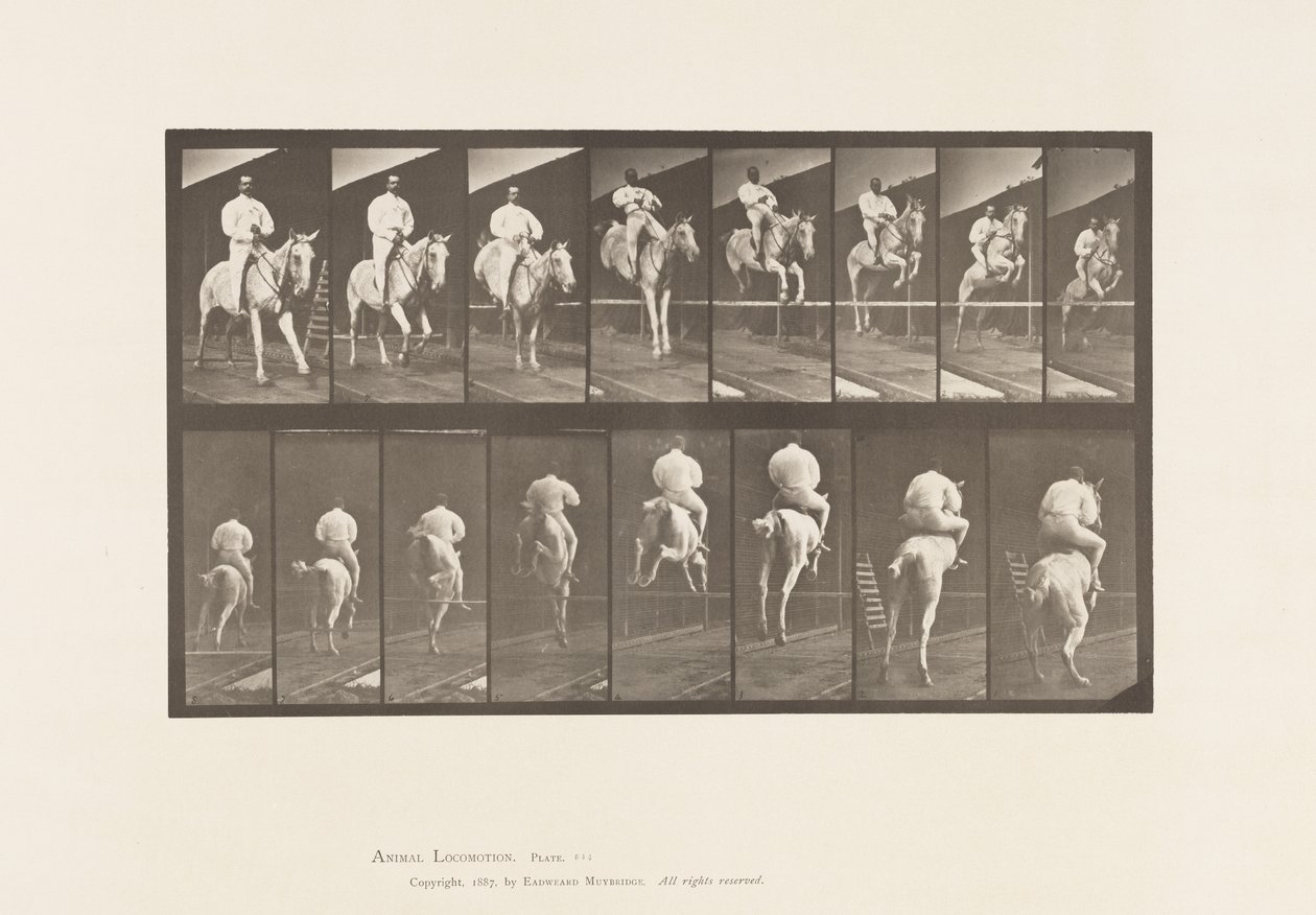 Tabliczka 644. Skakanie przez płotki; Siodło; Rozliczenie i lądowanie autorstwa Eadweard Muybridge