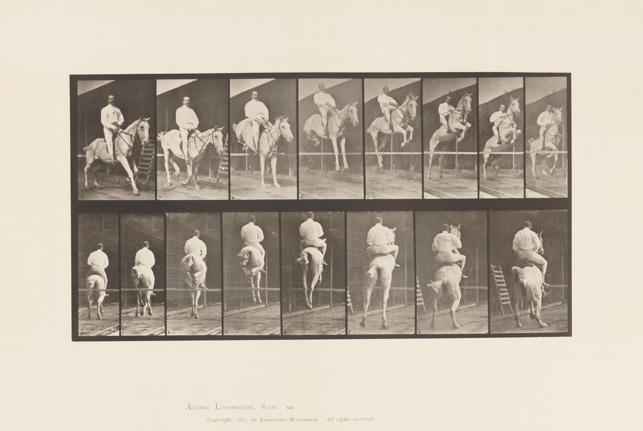 Płyta 645. Skoki przez płotki; Siodło; Rozliczenie i lądowanie autorstwa Eadweard Muybridge