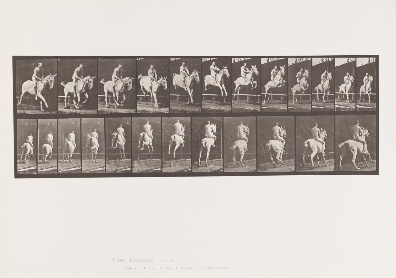 Tabliczka 647. Skoki przez przeszkodę; Oklep; Jeździec autorstwa Eadweard Muybridge