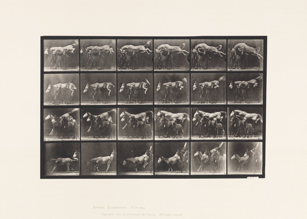 Tablica 648. Przeskok przez trzy konie; A,B; Szerszeń kasztanowy autorstwa Eadweard Muybridge