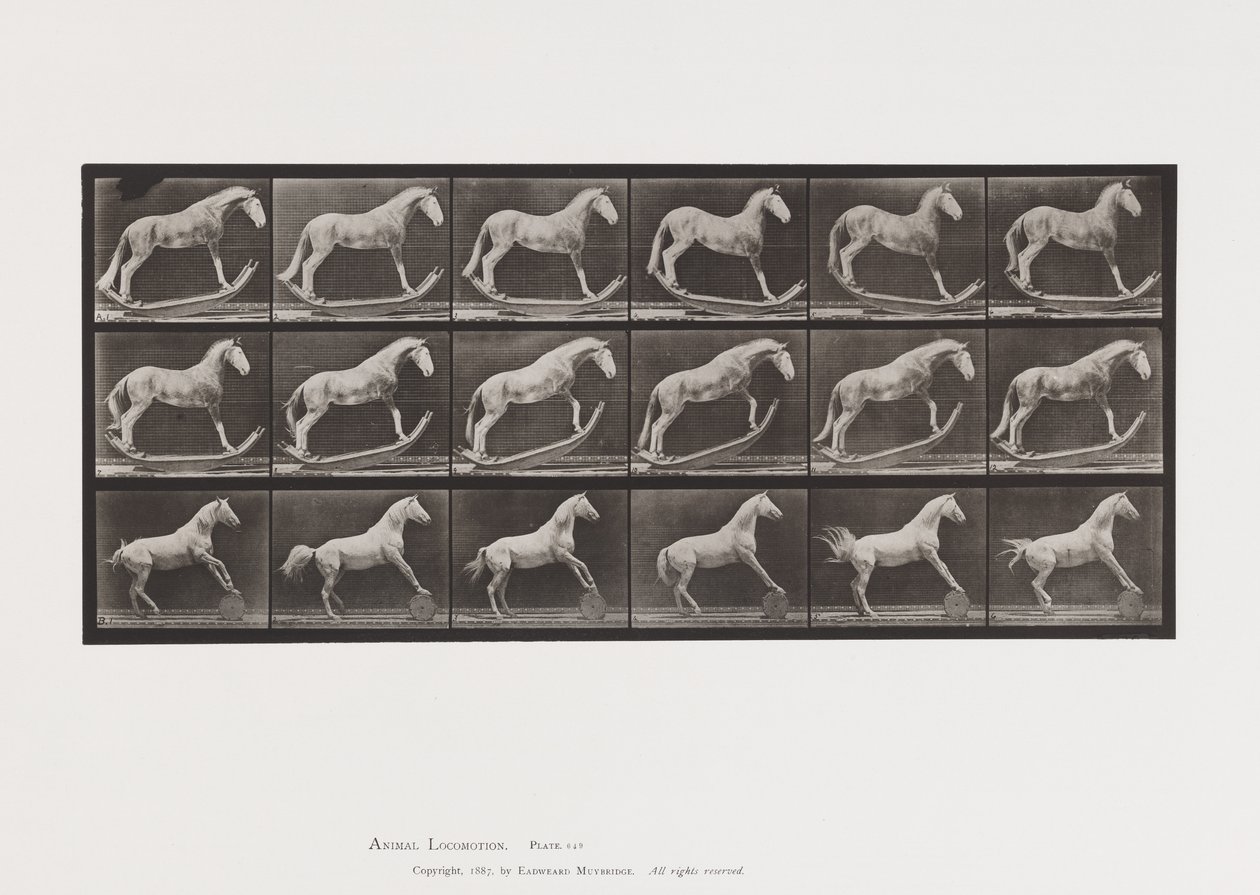 Płyta 649.A, Szerszeń, Na biegunach; B, orzeł, tocząca się beczka itp. autorstwa Eadweard Muybridge