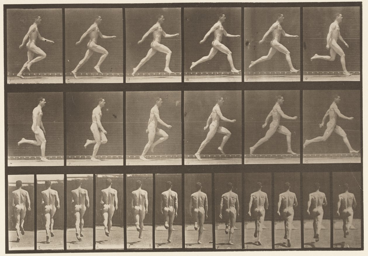 Płyta 64. Bieganie na pełnych obrotach autorstwa Eadweard Muybridge