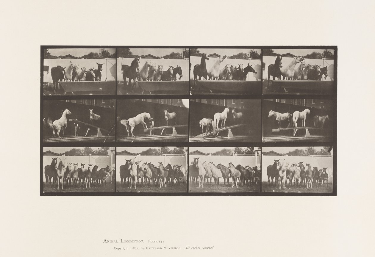 Tabliczka 651.A, Dzwonek; B, tablica balansująca; C, wiertło wojskowe autorstwa Eadweard Muybridge