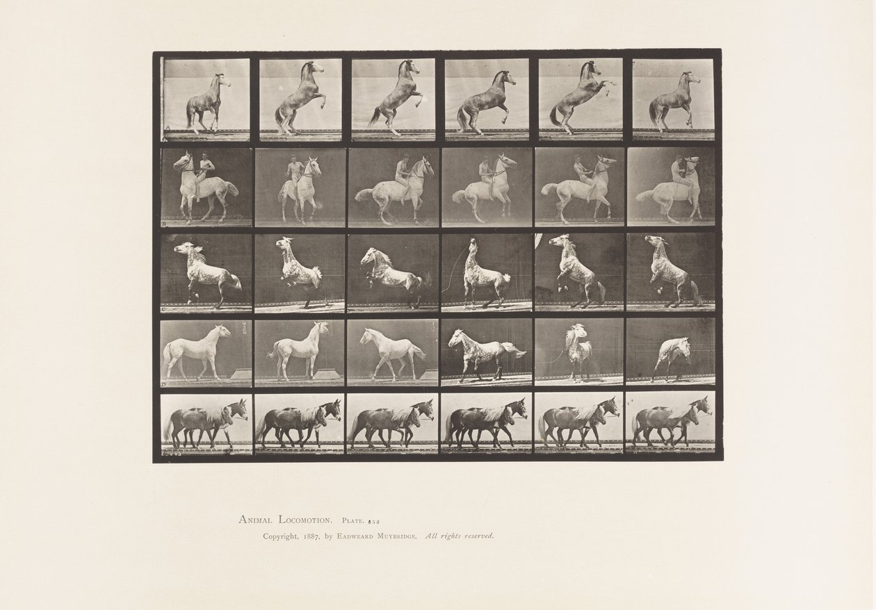 Tabliczka 652. A, B, C, D, E, Hodowla koni itp. autorstwa Eadweard Muybridge