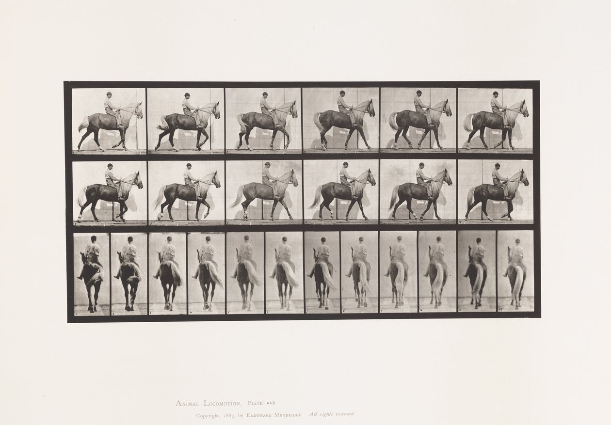 Płyta 653. Chodzenie; Siodło; Kulawa, prawa przednia stopa; końska skóra koźlęca autorstwa Eadweard Muybridge