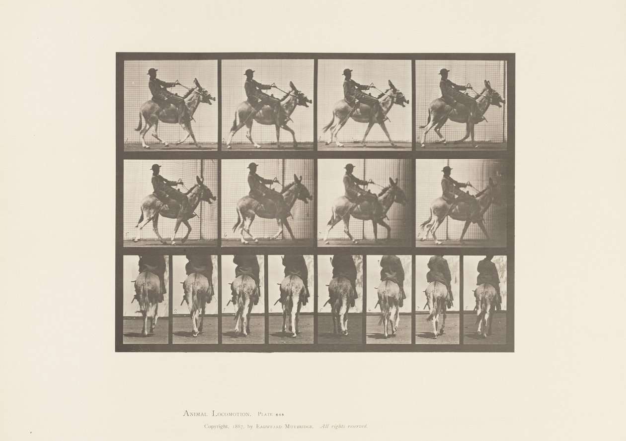 Tabliczka 668. Tyłek; wędrowanie; Siodło; Chłopiec na koniu, Zoo autorstwa Eadweard Muybridge
