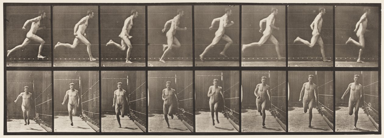 Płyta 67. Bieganie, 1872-1885 autorstwa Eadweard Muybridge