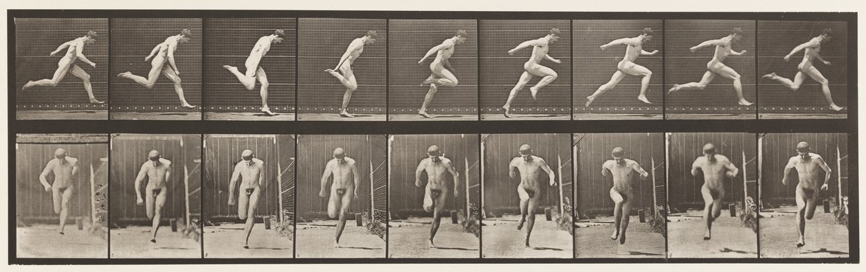 Płyta 68. Bieganie, 1872-1885 autorstwa Eadweard Muybridge