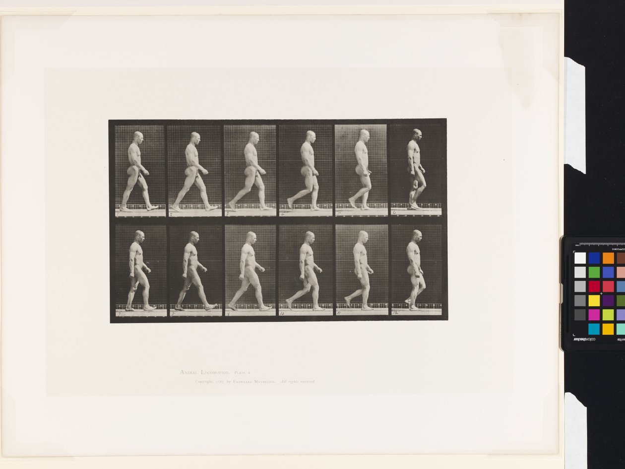 Płyta 6.Chodzenie autorstwa Eadweard Muybridge