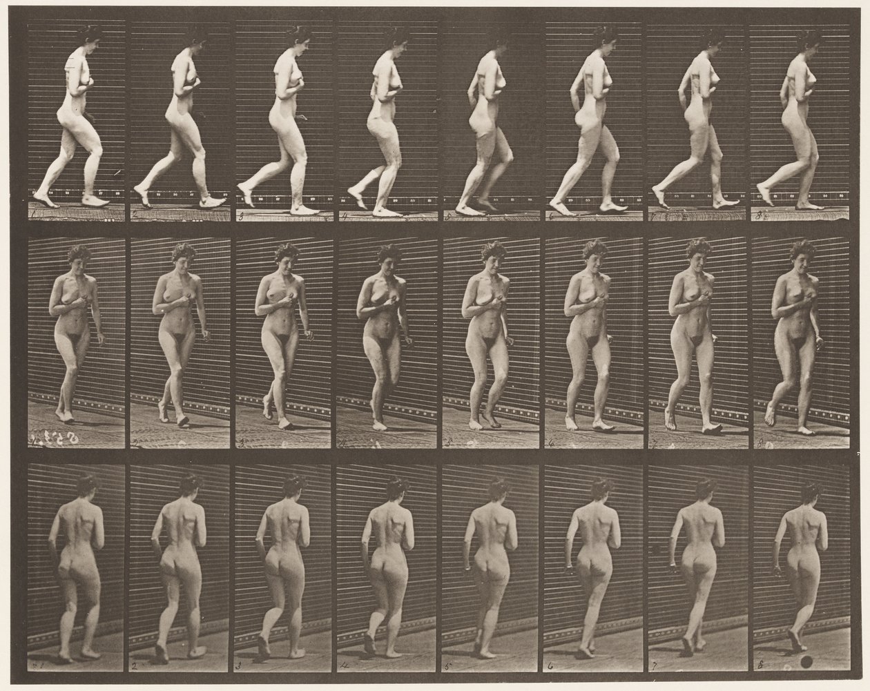 Płyta 70. Bieganie., 1872-1885 autorstwa Eadweard Muybridge