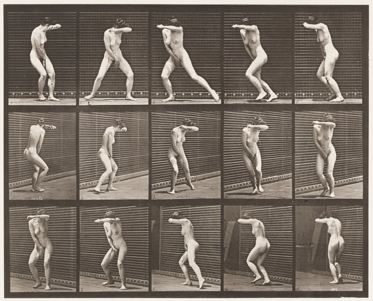 Tablica 73. Odwracanie się z zaskoczenia i ucieczka, 1872-1885 autorstwa Eadweard Muybridge