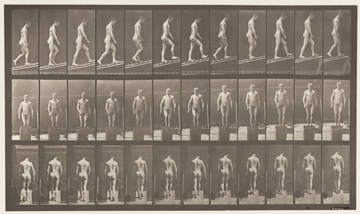 Płyta 74. Rosnąco nachylenie, kąt 1 w 4 autorstwa Eadweard Muybridge