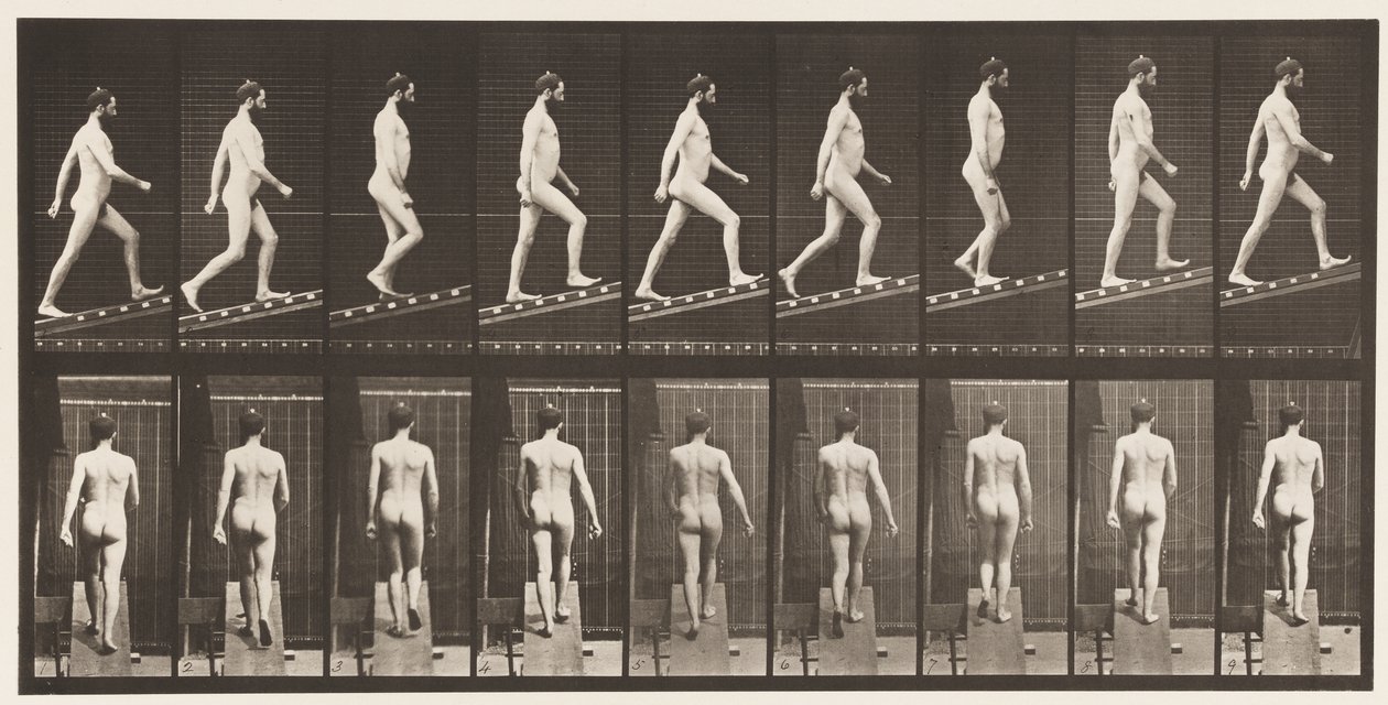 Płyta 75. Wznosząca się nachylenie, kąt 1 w 4, 1872-1885 autorstwa Eadweard Muybridge