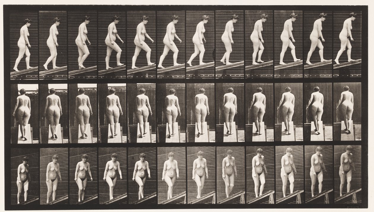 Płyta 77. Wznosząca się nachylenie autorstwa Eadweard Muybridge