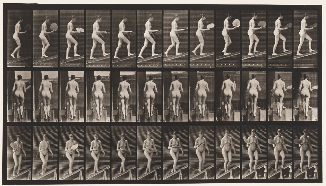 Płyta 78. Rosnąca nachylenie, Flirtujący wachlarz, 1872-1885 autorstwa Eadweard Muybridge