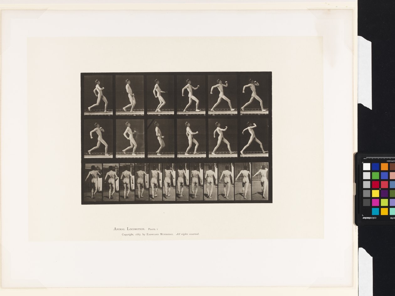 Płyta 7.Chodzenie autorstwa Eadweard Muybridge