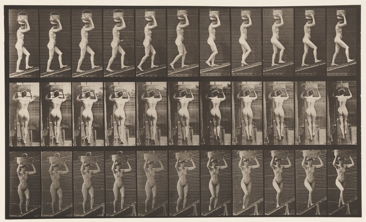 Płyta 80. Wznosząca się nachylenie autorstwa Eadweard Muybridge
