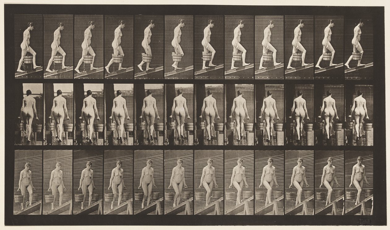 Płyta 81. Wznosząca się pochylnia. autorstwa Eadweard Muybridge