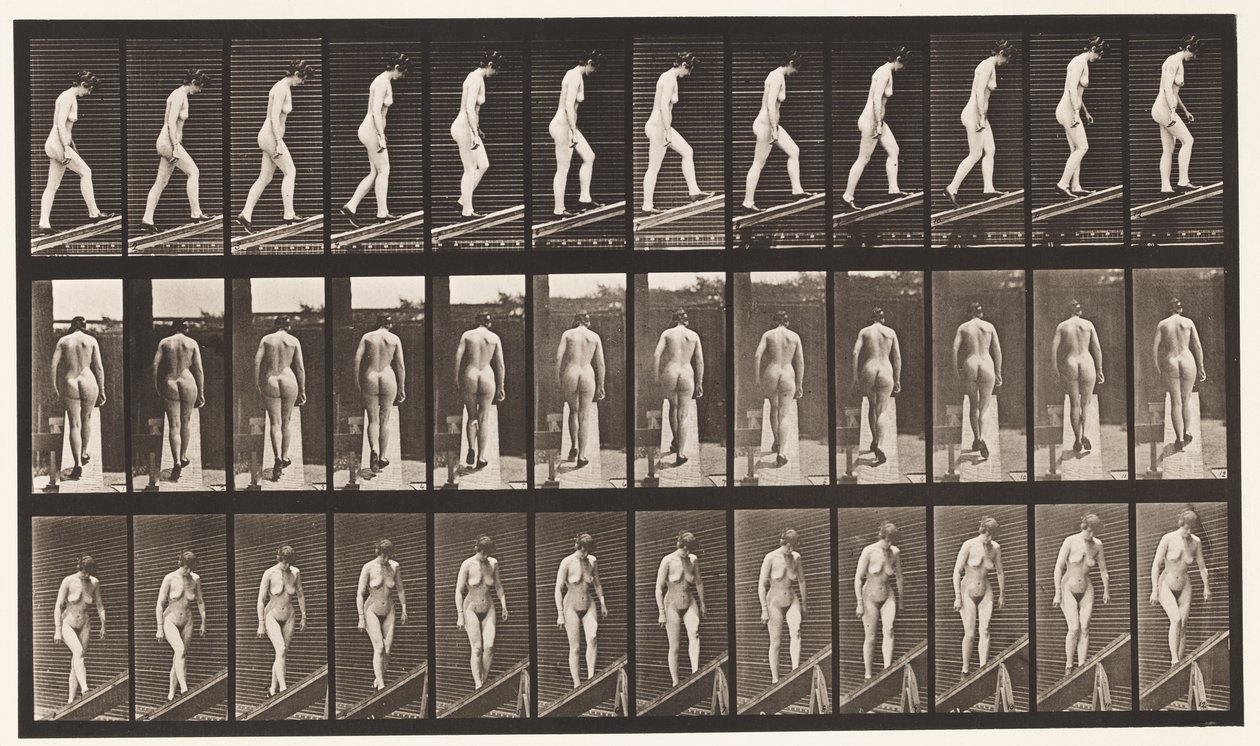 Płyta 85. Wznosząca się nachylenie autorstwa Eadweard Muybridge