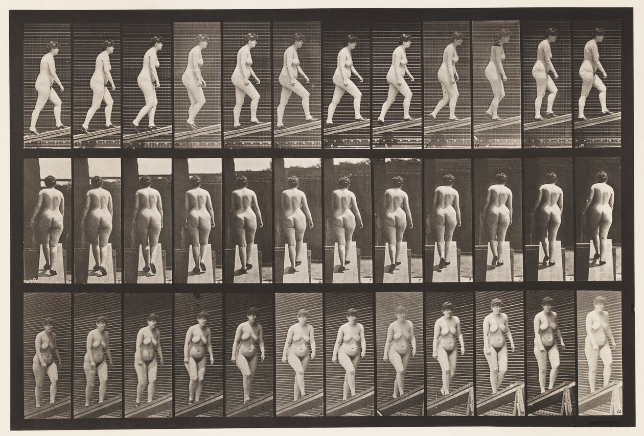 Płyta 86. Wznosząca się nachylenie autorstwa Eadweard Muybridge