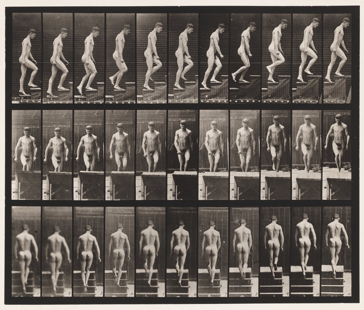 Płyta 88. Schody wznoszące, 1872-1885 autorstwa Eadweard Muybridge