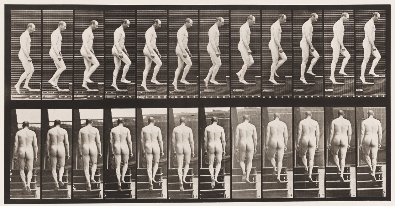 Płyta 89. Schody wznoszące autorstwa Eadweard Muybridge