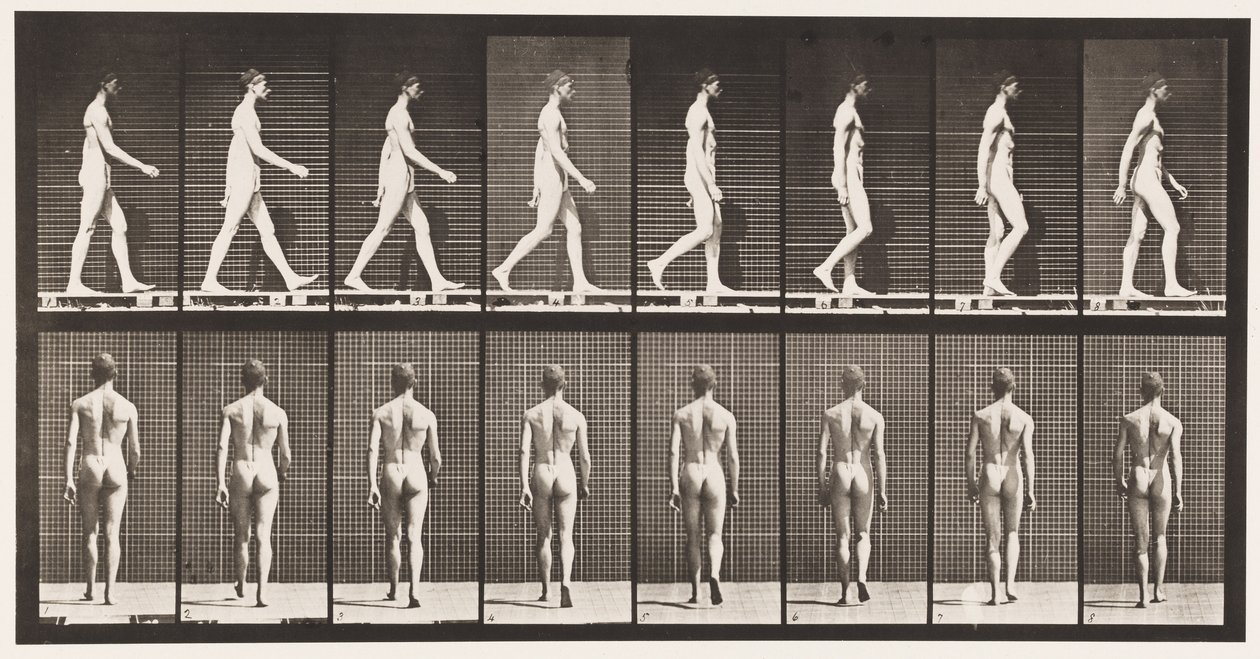 Płyta 8. Chodzenie autorstwa Eadweard Muybridge