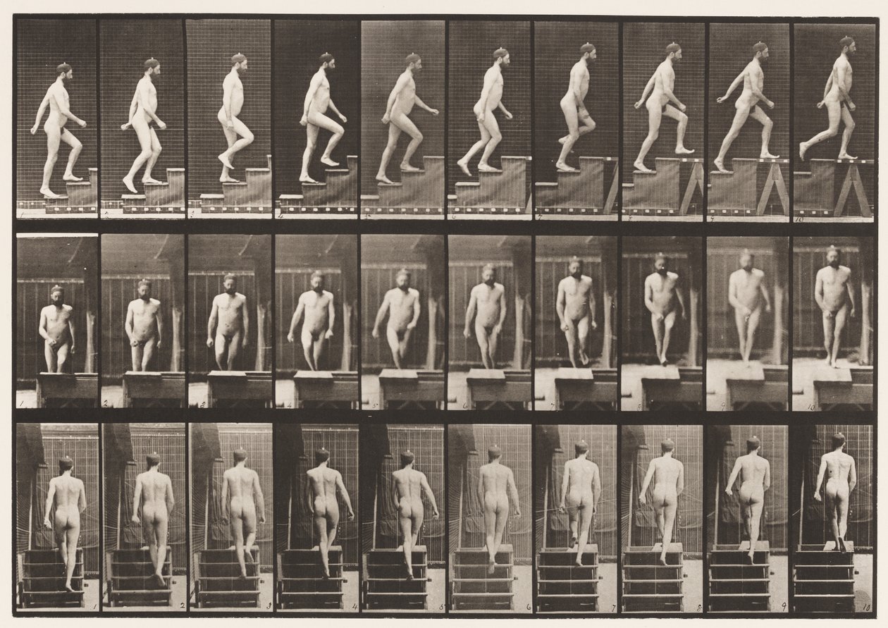 Płyta 90. Wstępujące schody autorstwa Eadweard Muybridge