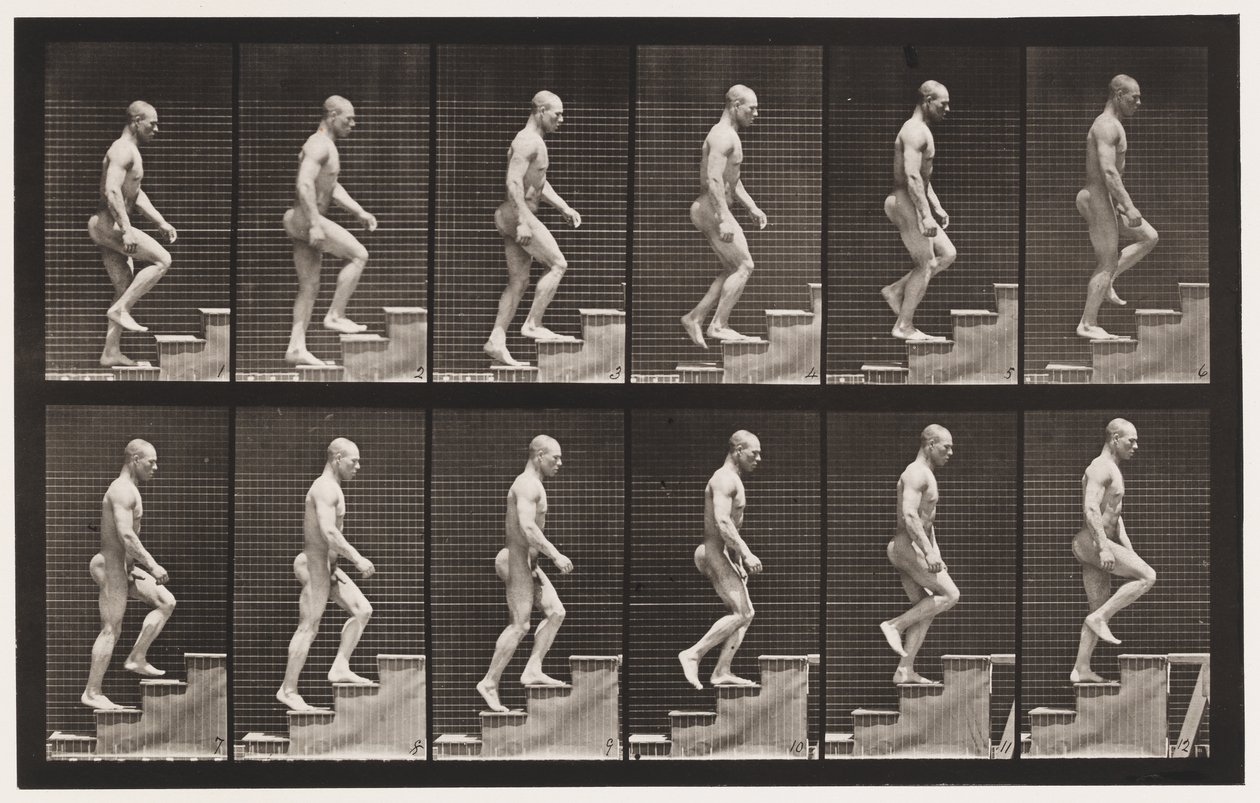 Płyta 91. Wstępujące schody autorstwa Eadweard Muybridge