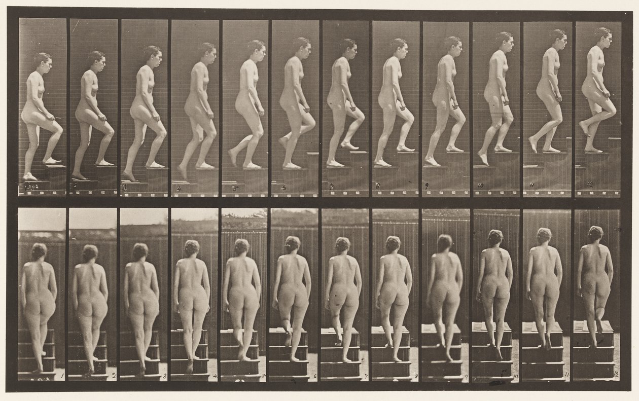 Płyta 92. Wstępujące schody autorstwa Eadweard Muybridge