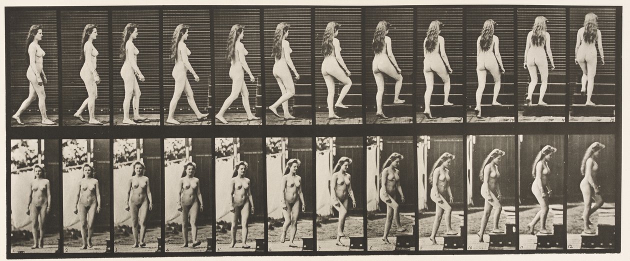 Płyta 99. Schody skrętne i wstępujące autorstwa Eadweard Muybridge