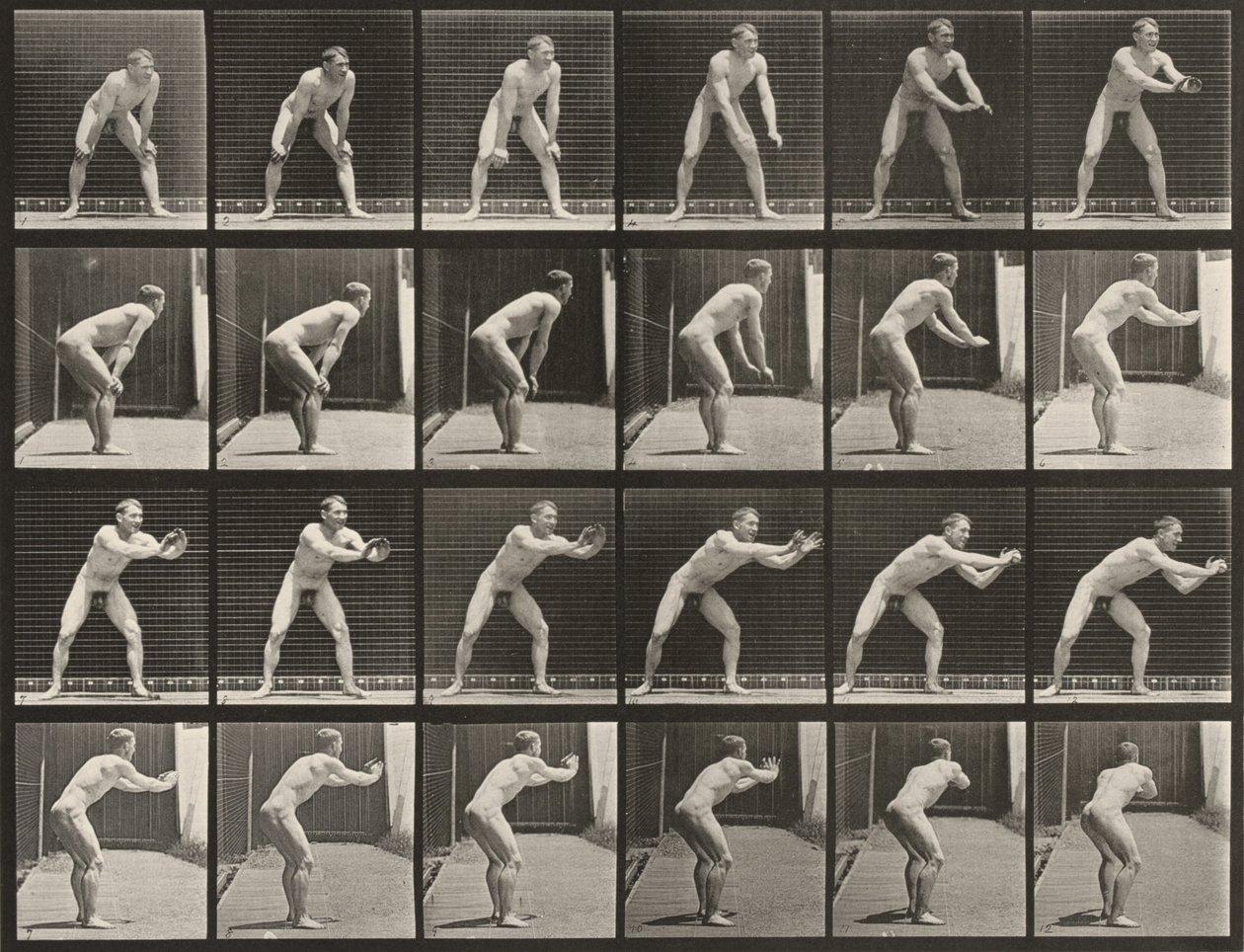 Tablica numer 280. Baseball, chwytanie autorstwa Eadweard Muybridge