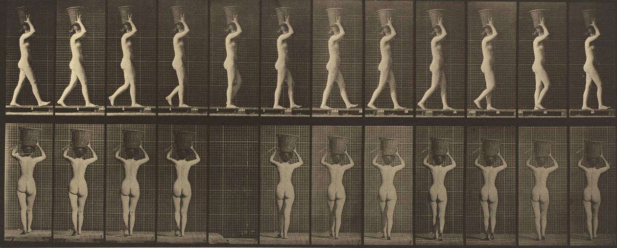 Płyta numer 34. Chodzący i niosący 15-funtowy kosz na głowie, ręce uniesione, 1887 r. (zdjęcie) autorstwa Eadweard Muybridge
