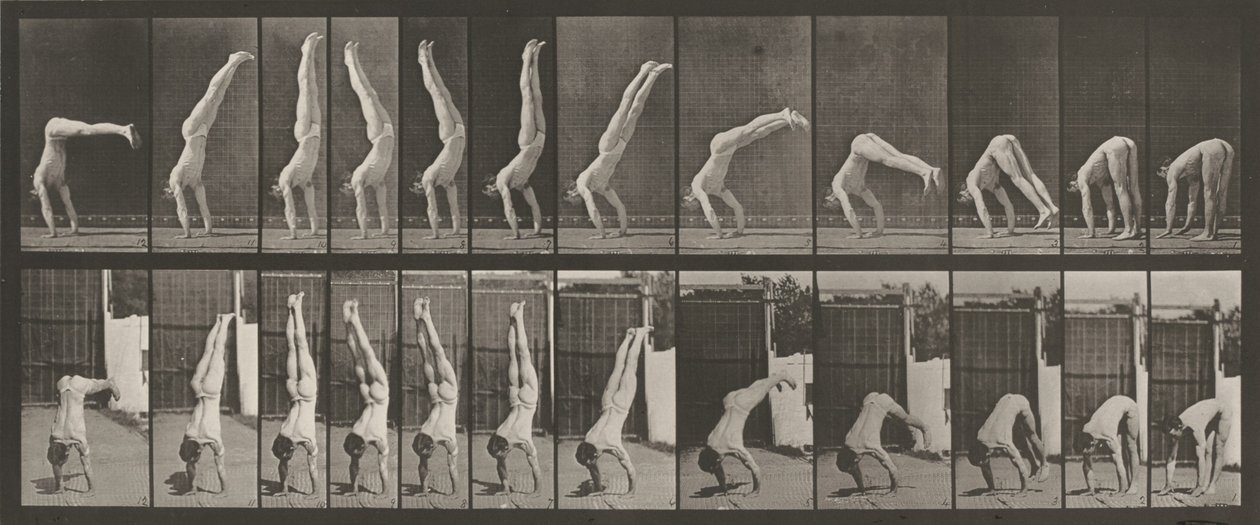 Płyta numer 371. Acrobat, pionowa "prasa w górę", 1887 (zdjęcie) autorstwa Eadweard Muybridge