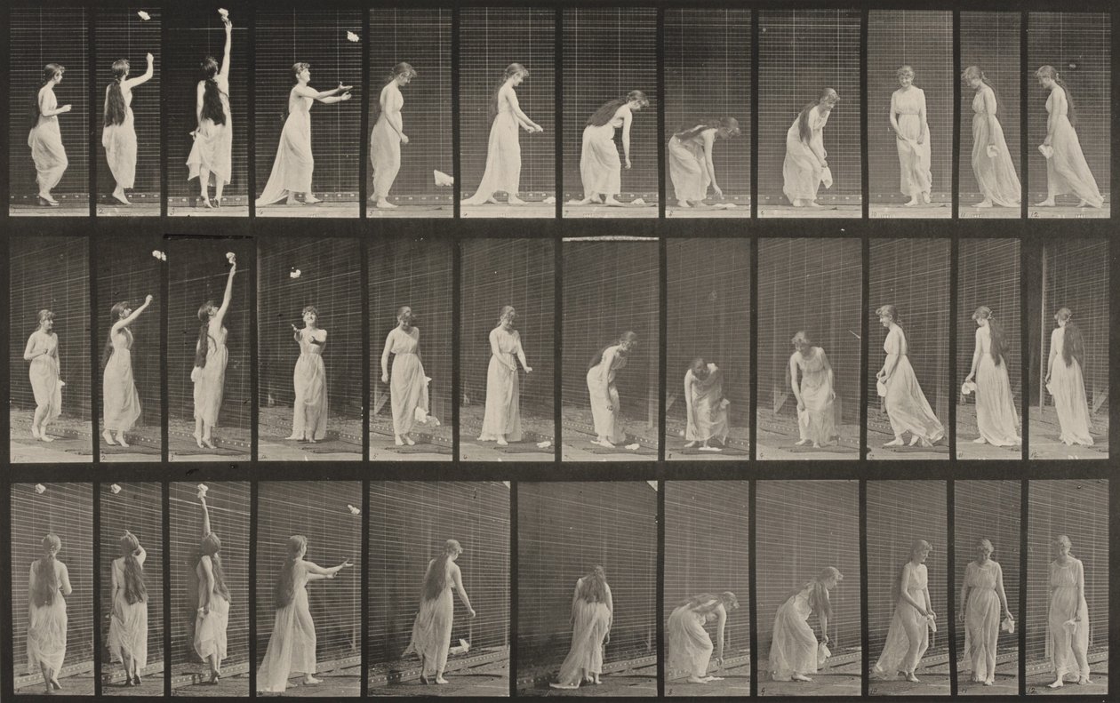 Tablica numer 463. Wyciąganie się, pochylanie i obracanie się autorstwa Eadweard Muybridge