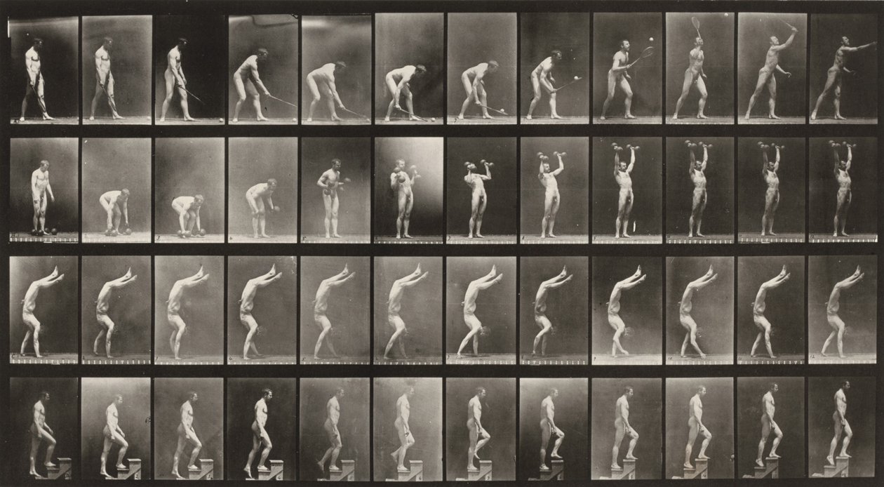 Tablica numer 488. A: Tenis ziemny. B: Hantle. C: Chodzenie na rękach. D: Wchodzenie po schodach autorstwa Eadweard Muybridge