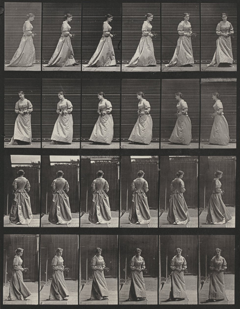 Tablica numer 48. Chodzenie i obracanie się z bukietem w obu rękach autorstwa Eadweard Muybridge