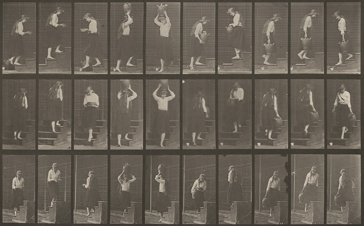 Numer rejestracyjny 504. Schody wchodzące i schodzące autorstwa Eadweard Muybridge