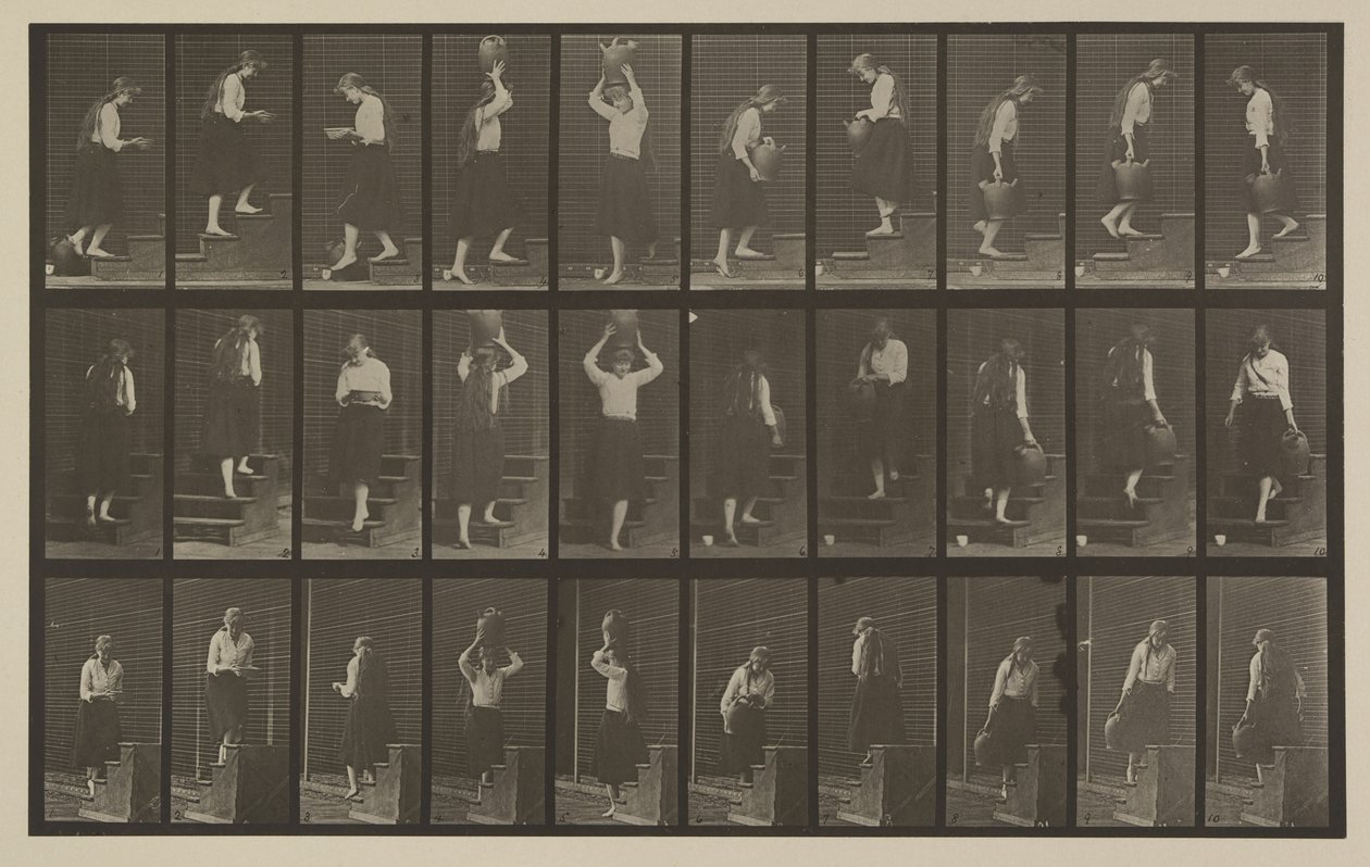 Numer rejestracyjny 504. Schody wchodzące i schodzące autorstwa Eadweard Muybridge