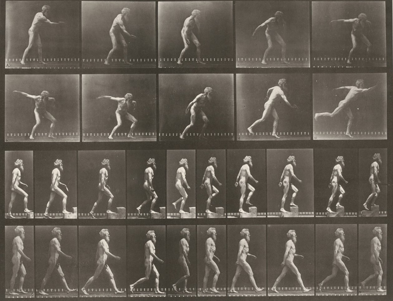 Tablica numer 519. A: Rzut dyskiem. B: Wchodzenie na stopień. C: Chodzenie autorstwa Eadweard Muybridge