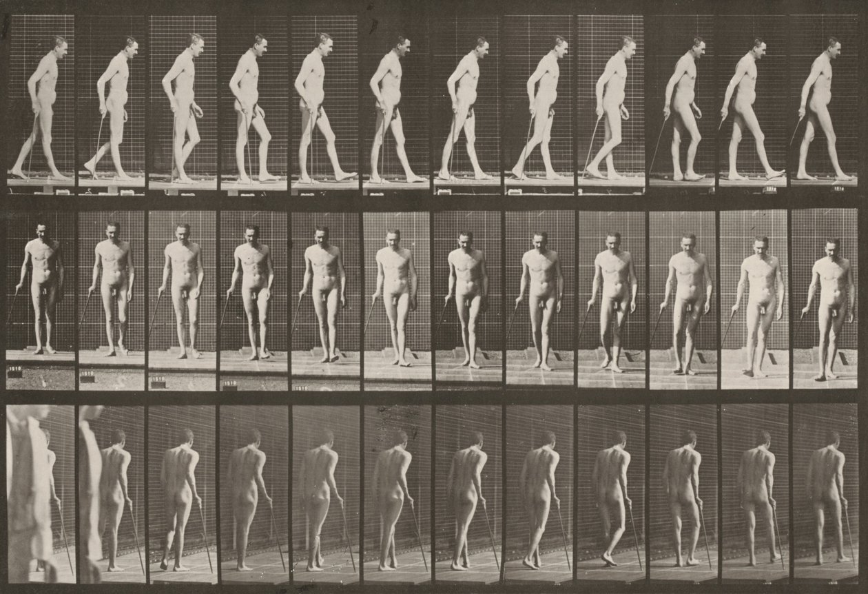 Tablica numer 559. Częściowa paraplegia, chodzenie z laską autorstwa Eadweard Muybridge