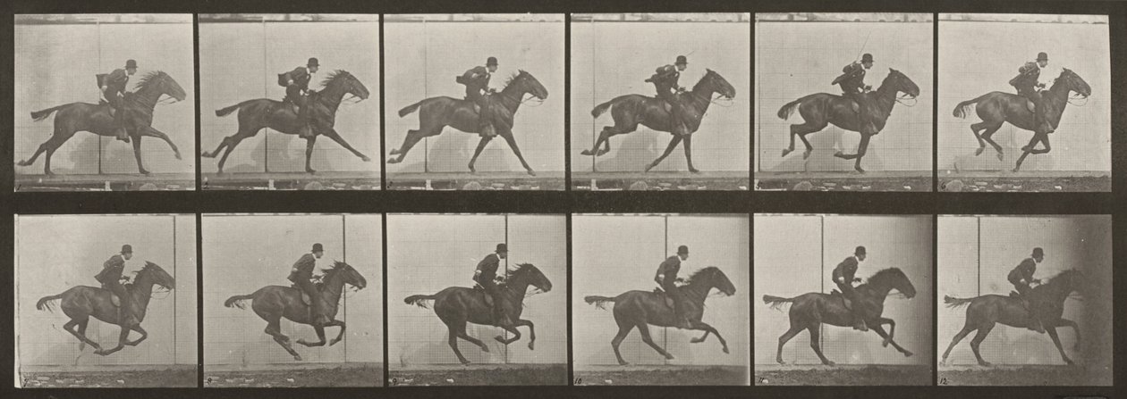 Tablica numer 624. „Daisy” galopująca, osiodłana autorstwa Eadweard Muybridge