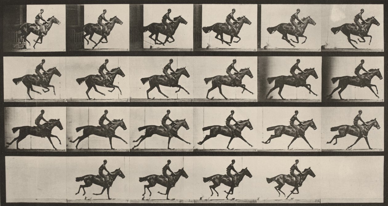Tablica numer 625. „Bouquet” w galopie autorstwa Eadweard Muybridge