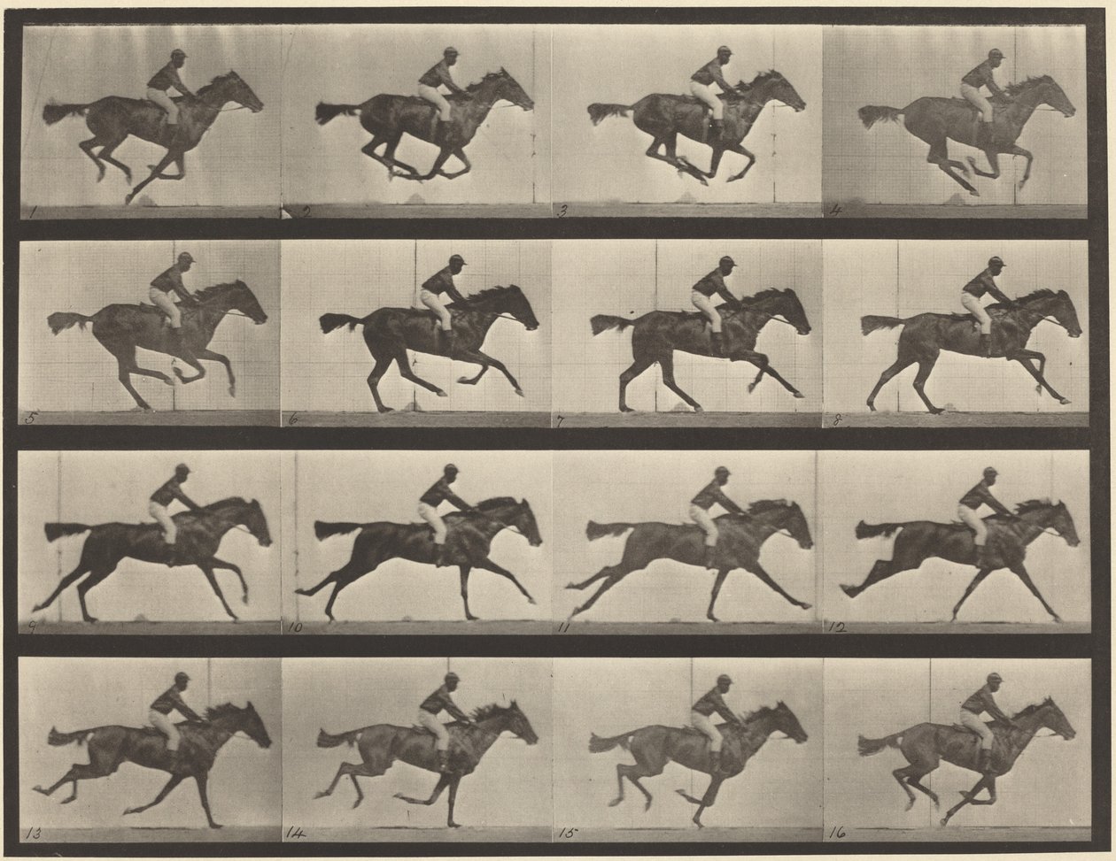 Tablica numer 626. Galop, pełnej krwi gniada klacz, Annie G. autorstwa Eadweard Muybridge