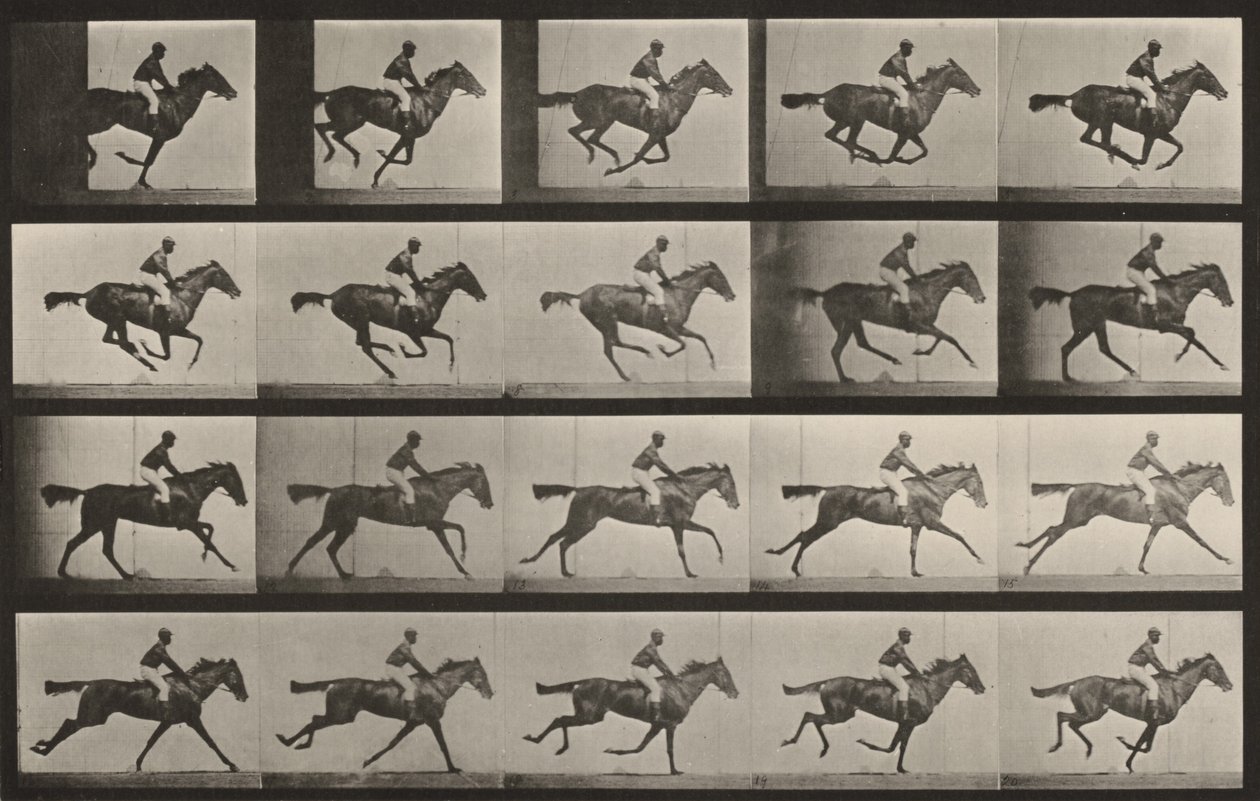Tablica numer 627. „Annie G.” w galopie autorstwa Eadweard Muybridge
